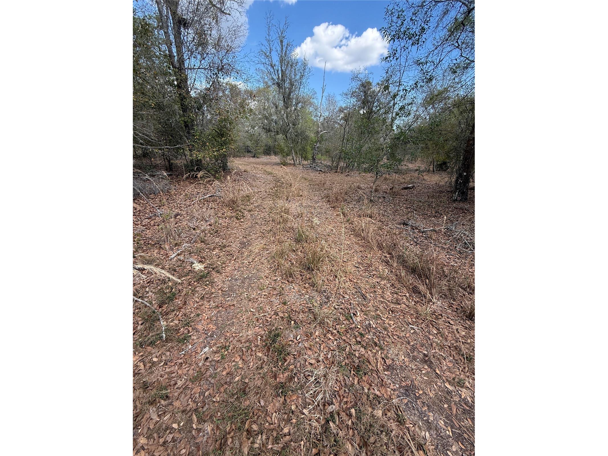 4021 Bruton Road Plant City FL 33565 TB8481519 image28