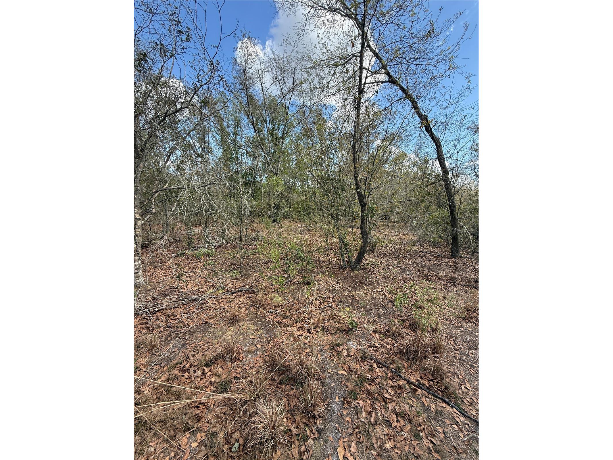 4021 Bruton Road Plant City FL 33565 TB8481519 image29