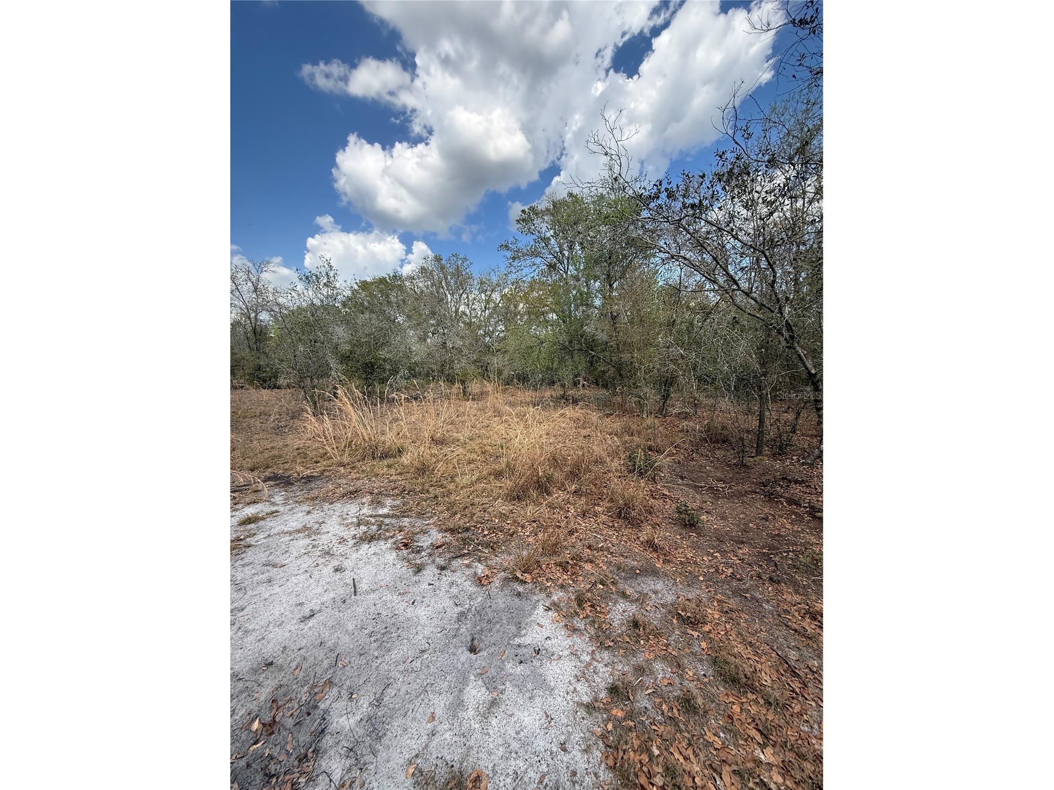 4021 Bruton Road Plant City FL 33565 TB8481519 image30