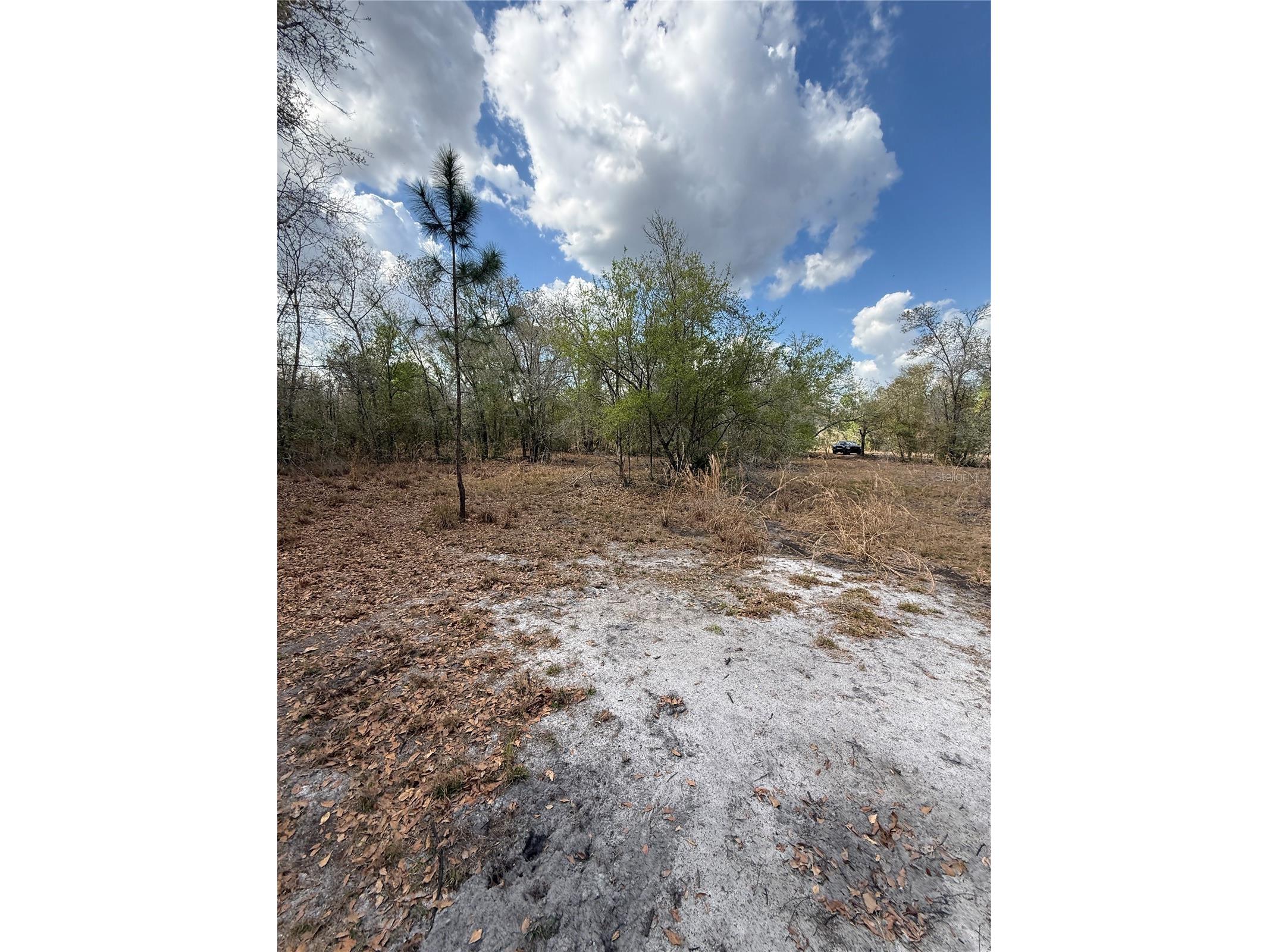 4021 Bruton Road Plant City FL 33565 TB8481519 image31