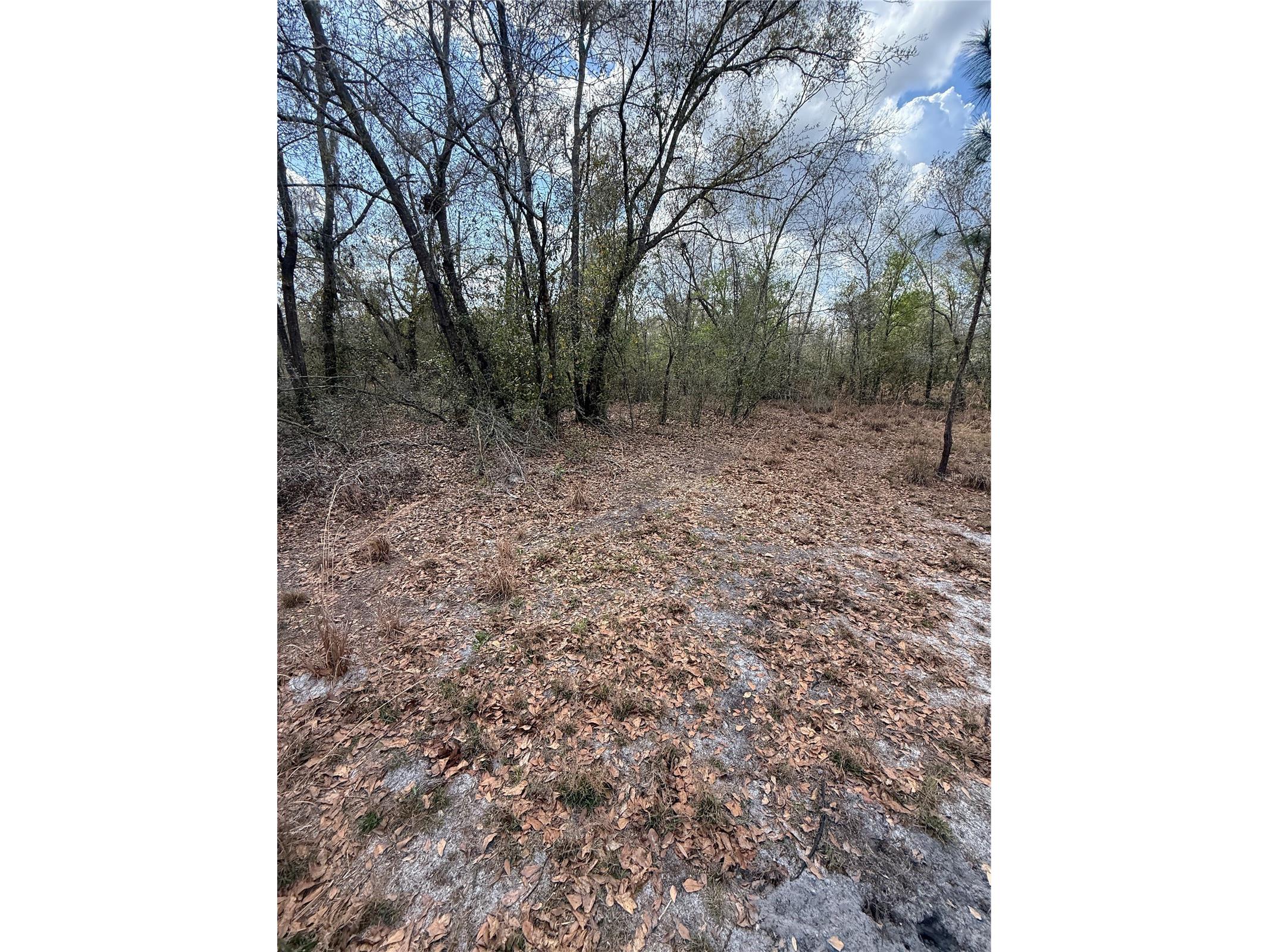 4021 Bruton Road Plant City FL 33565 TB8481519 image32