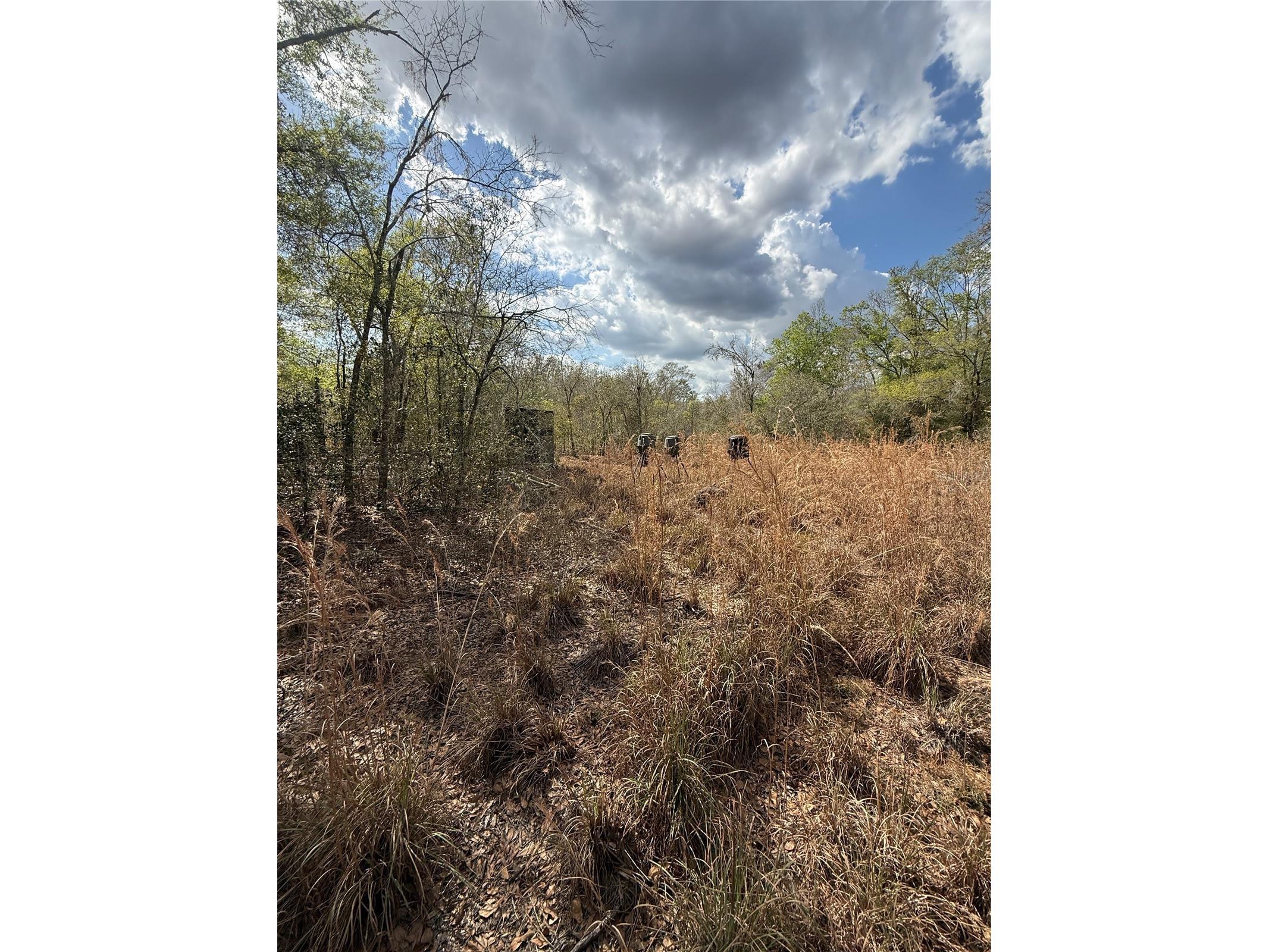 4021 Bruton Road Plant City FL 33565 TB8481519 image33