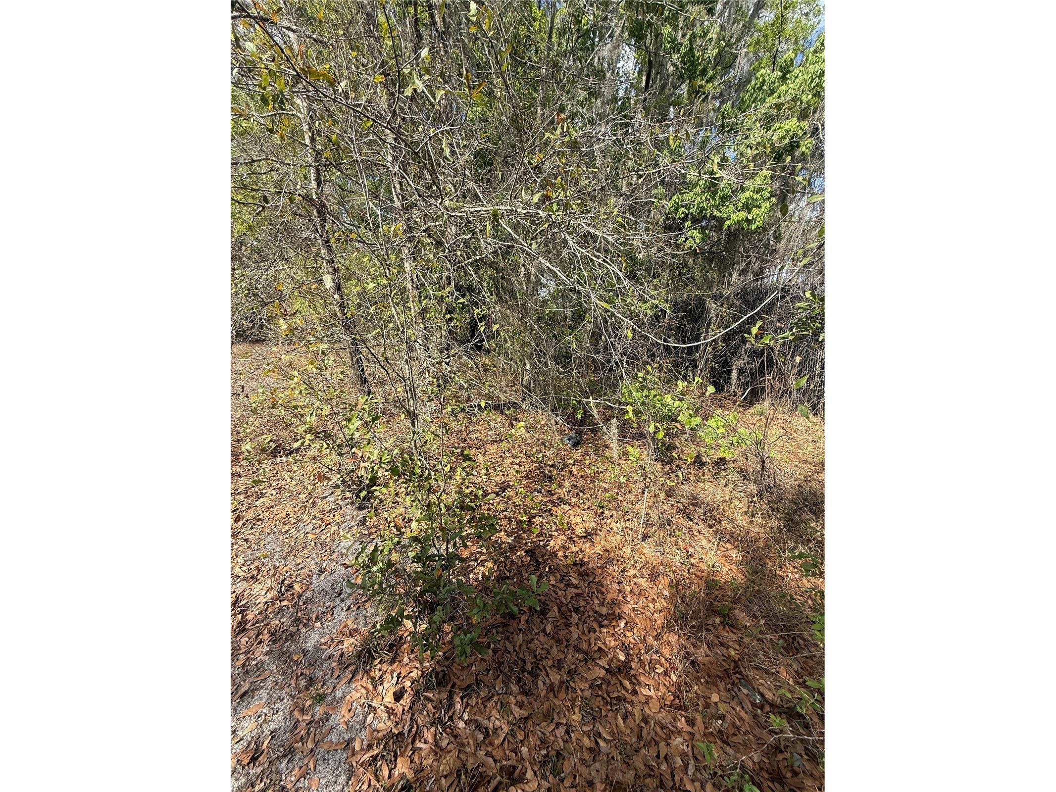 4021 Bruton Road Plant City FL 33565 TB8481519 image34