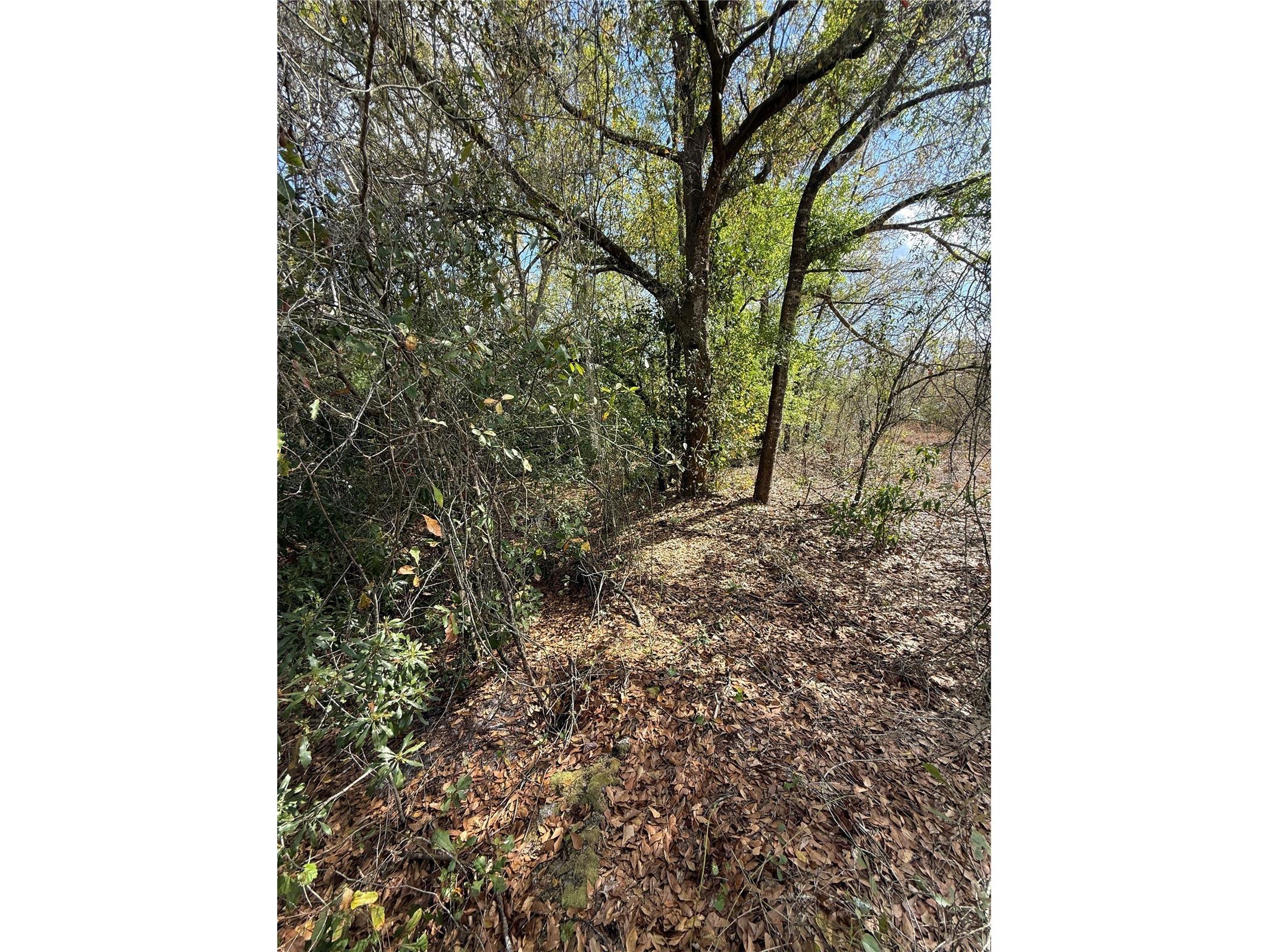 4021 Bruton Road Plant City FL 33565 TB8481519 image35