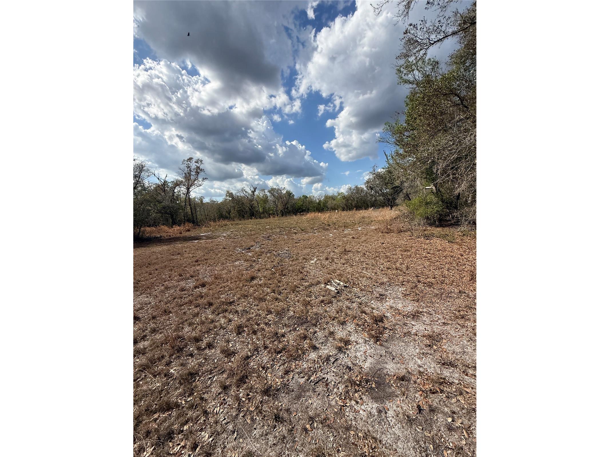 4021 Bruton Road Plant City FL 33565 TB8481519 image36