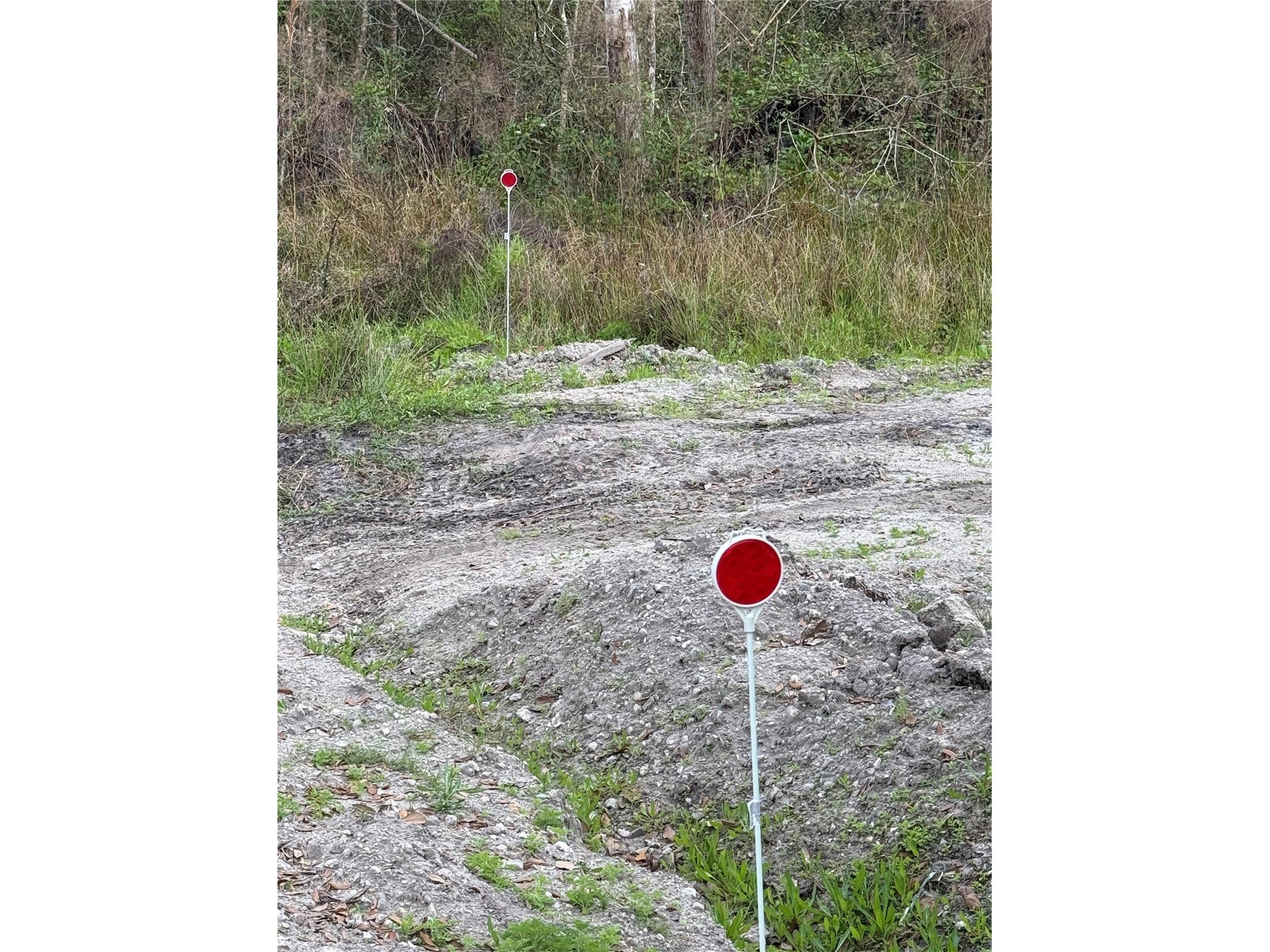 4021 Bruton Road Plant City FL 33565 TB8481519 image37