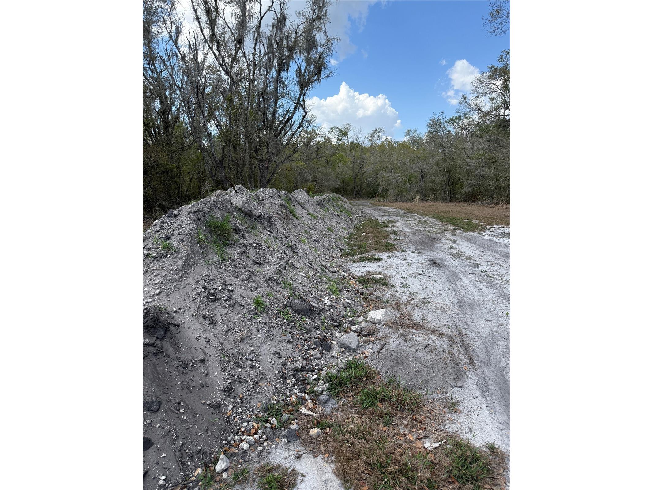 4021 Bruton Road Plant City FL 33565 TB8481519 image38