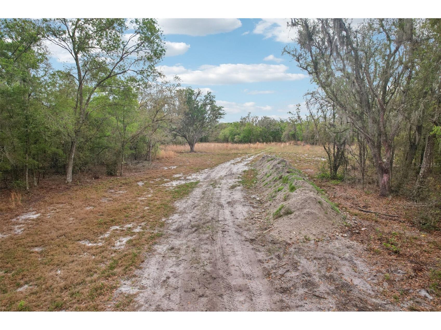 4021 Bruton Road Plant City FL 33565 TB8481519 image4