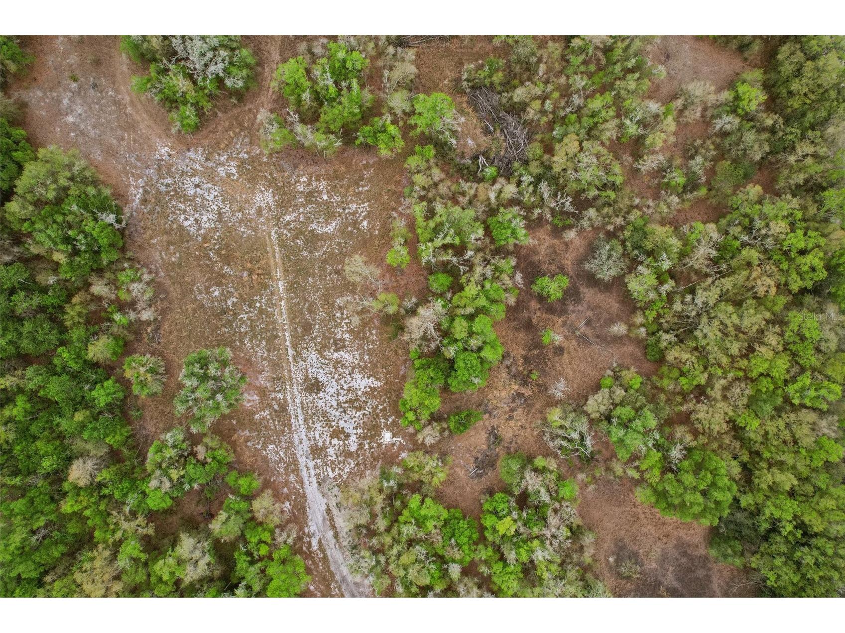 4021 Bruton Road Plant City FL 33565 TB8481519 image43