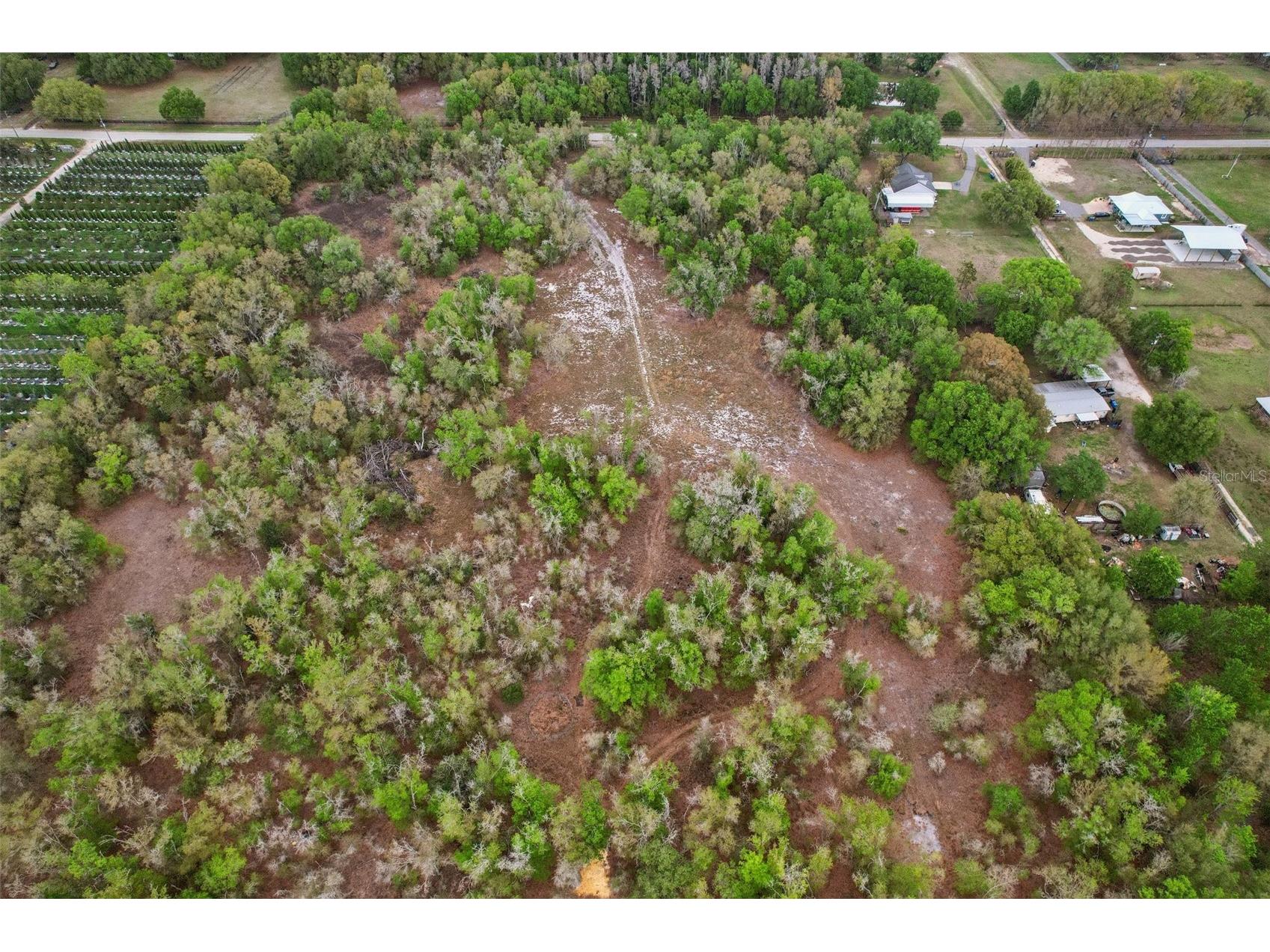 4021 Bruton Road Plant City FL 33565 TB8481519 image44