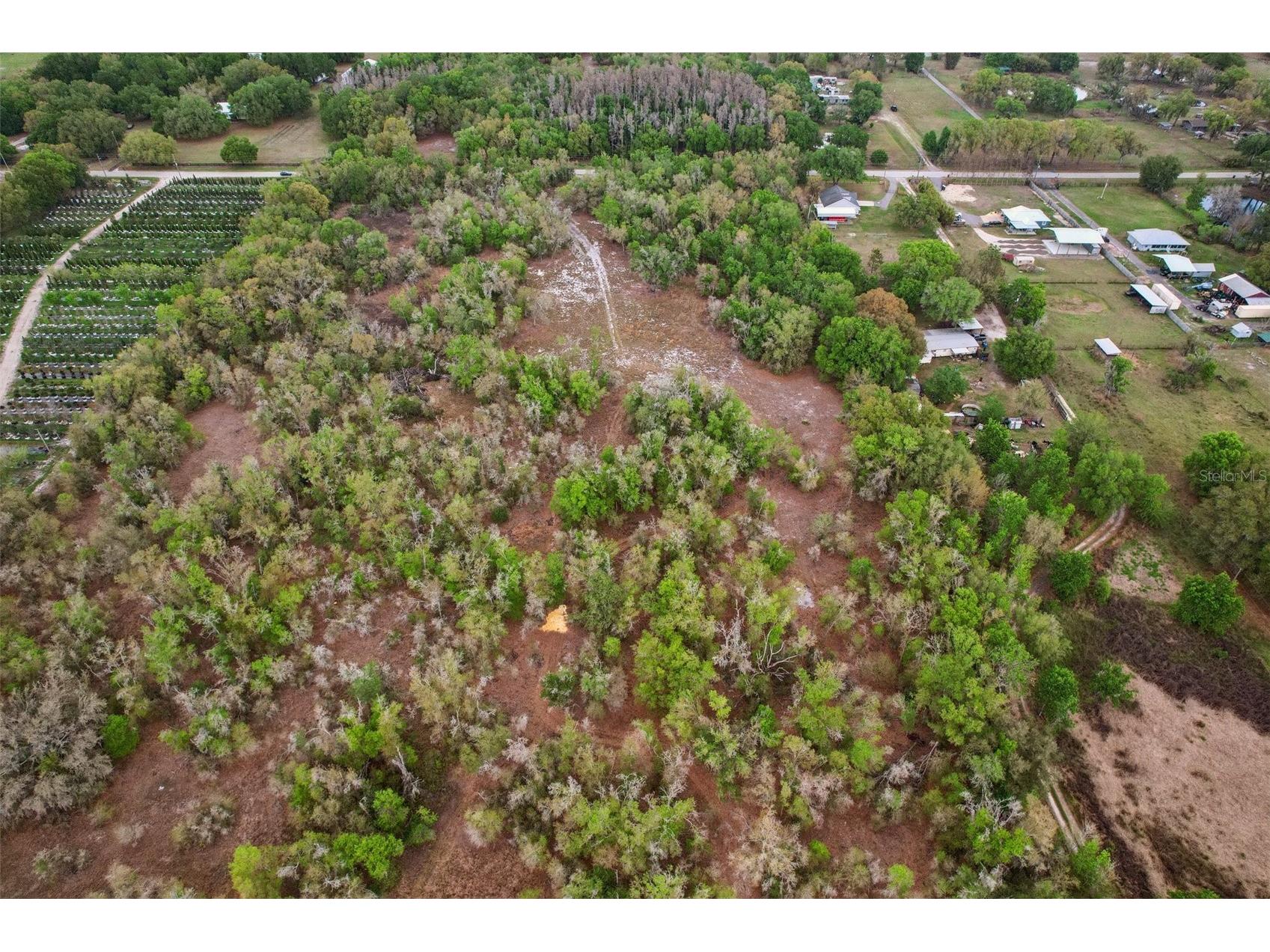 4021 Bruton Road Plant City FL 33565 TB8481519 image45