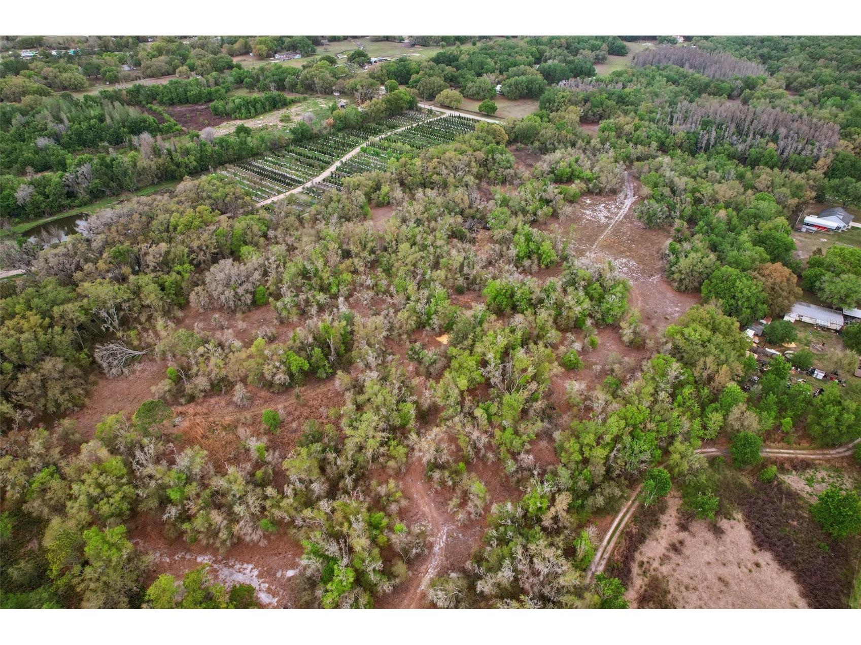 4021 Bruton Road Plant City FL 33565 TB8481519 image46