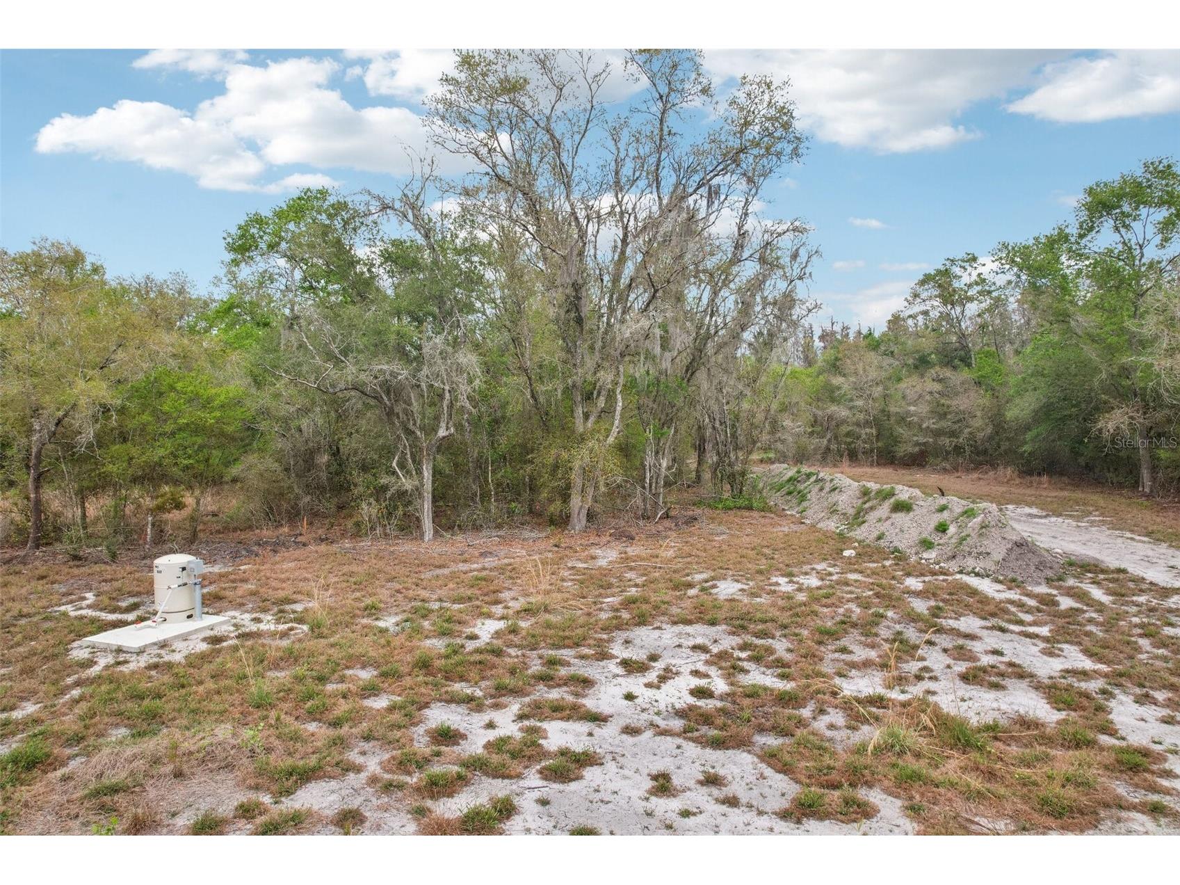 4021 Bruton Road Plant City FL 33565 TB8481519 image47