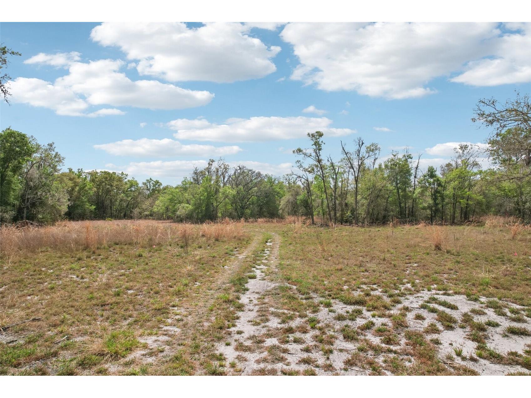 4021 Bruton Road Plant City FL 33565 TB8481519 image48