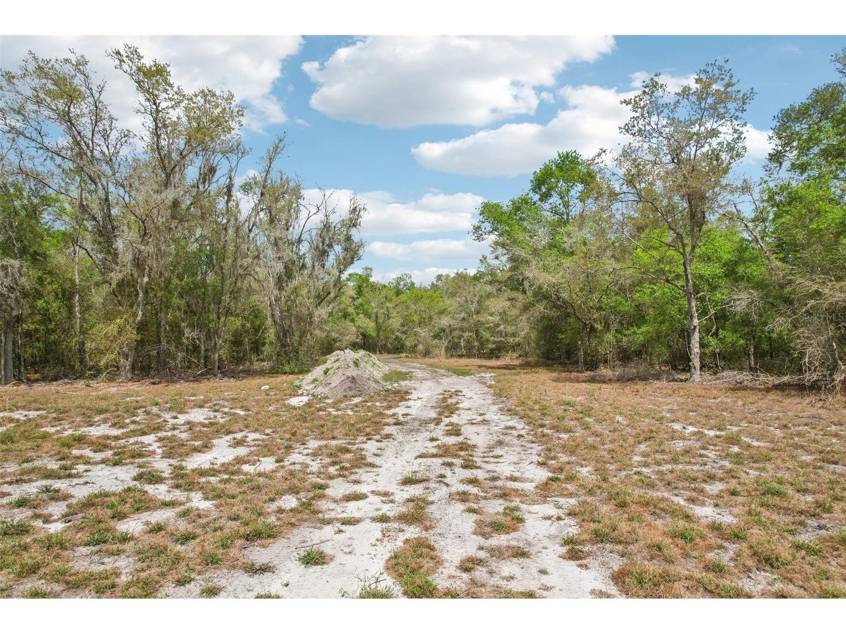 4021 Bruton Road Plant City FL 33565 TB8481519 image49