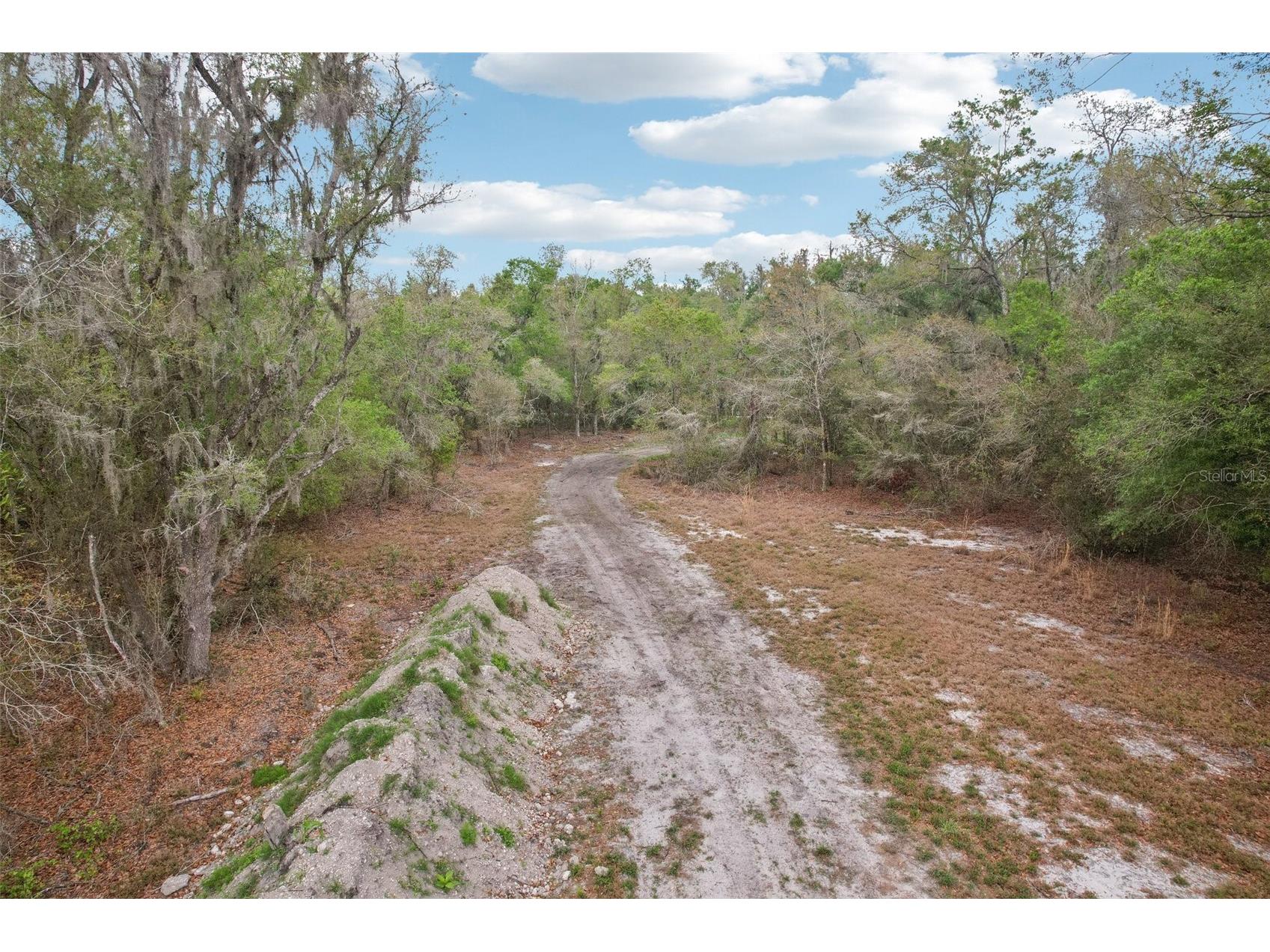 4021 Bruton Road Plant City FL 33565 TB8481519 image5