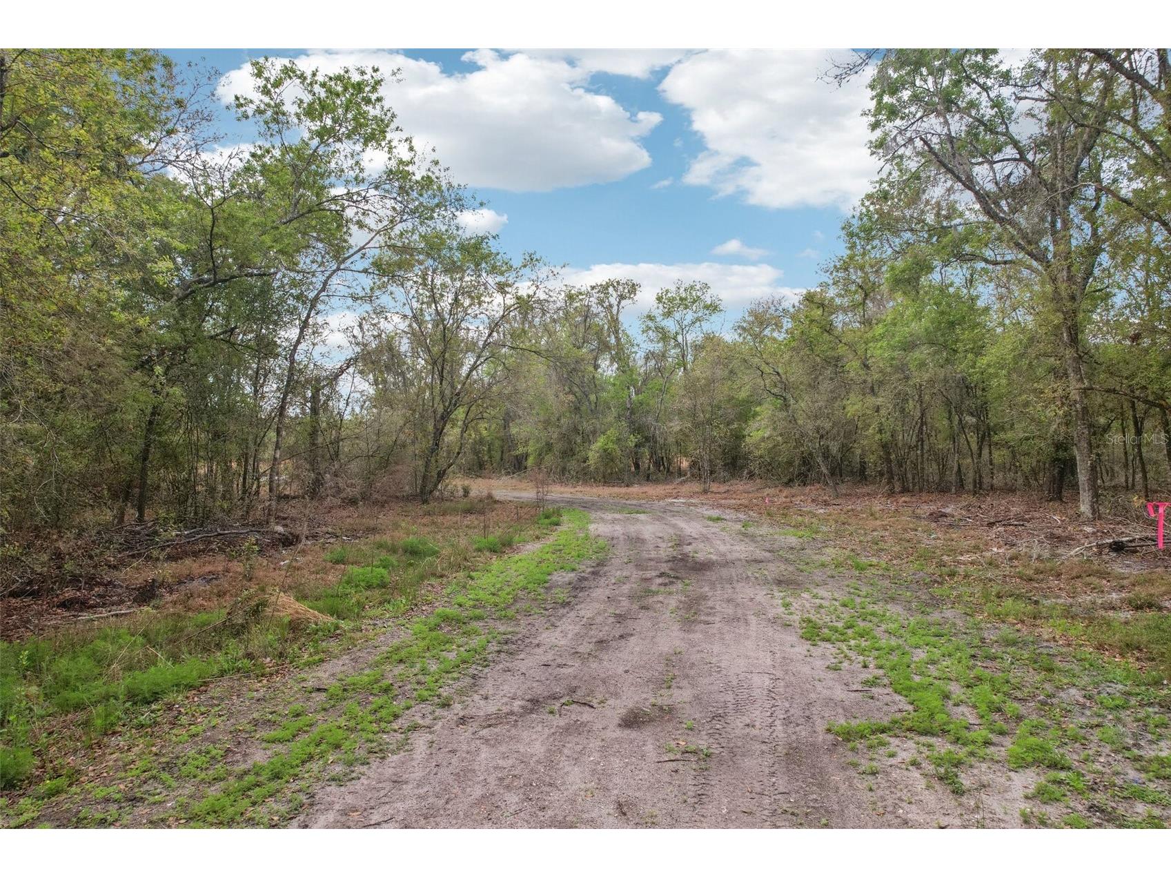 4021 Bruton Road Plant City FL 33565 TB8481519 image50