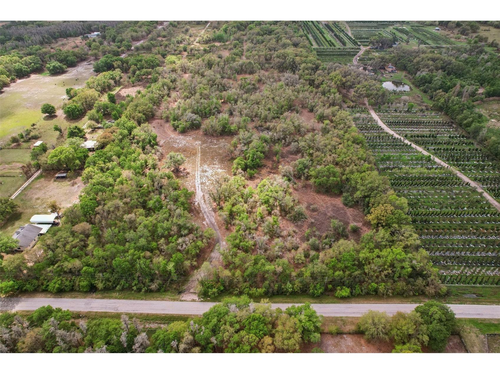 4021 Bruton Road Plant City FL 33565 TB8481519 image52