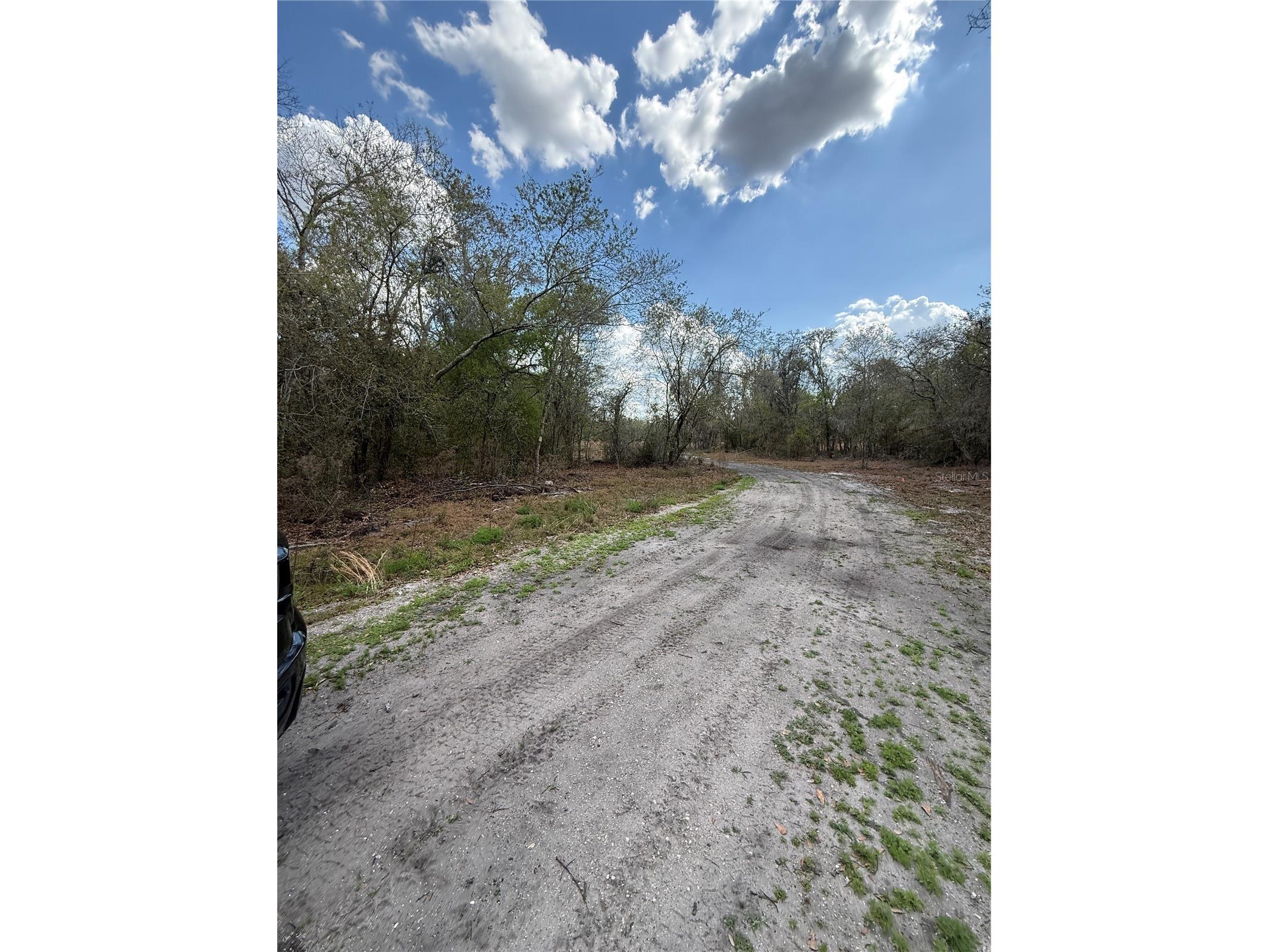 4021 Bruton Road Plant City FL 33565 TB8481519 image8