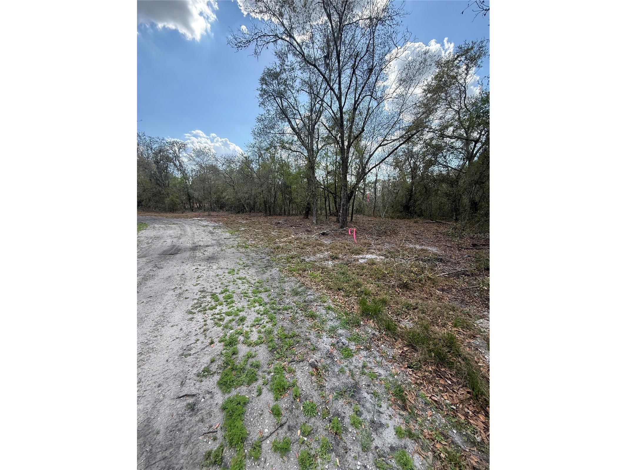 4021 Bruton Road Plant City FL 33565 TB8481519 image9