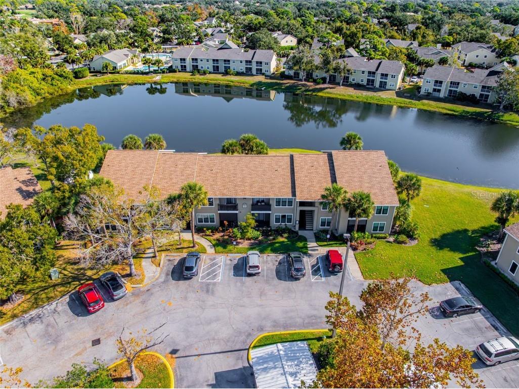 4021 Crockers Lake Boulevard #24 Sarasota FL 34238 A4676414 image53