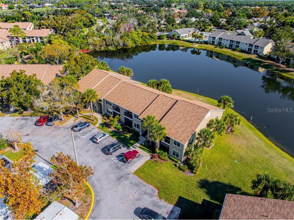 4021 Crockers Lake Boulevard #24 Sarasota FL 34238 A4676414 image54