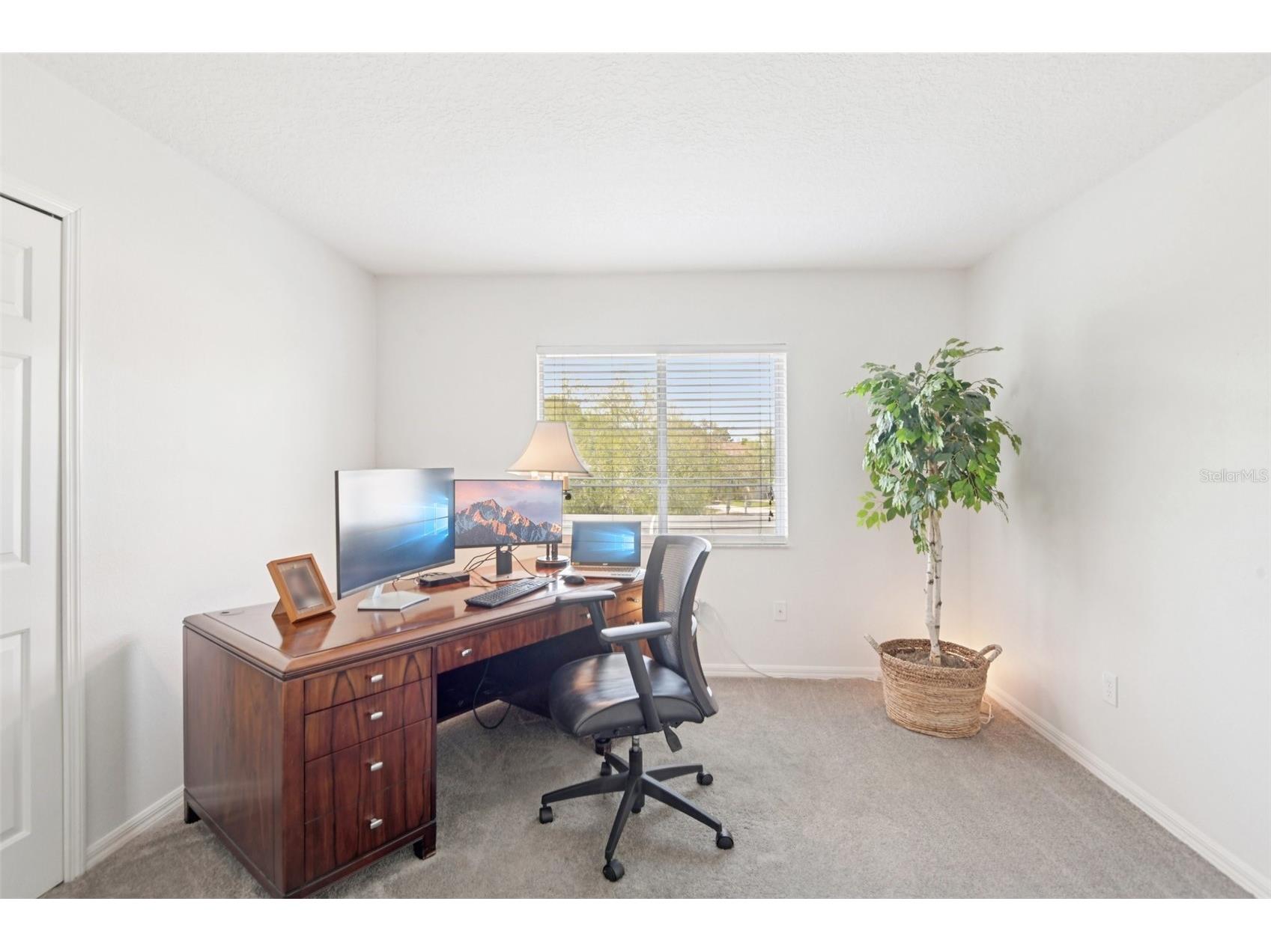 4021 Fishermans Cove Court Lutz FL 33558 TB8485990 image36