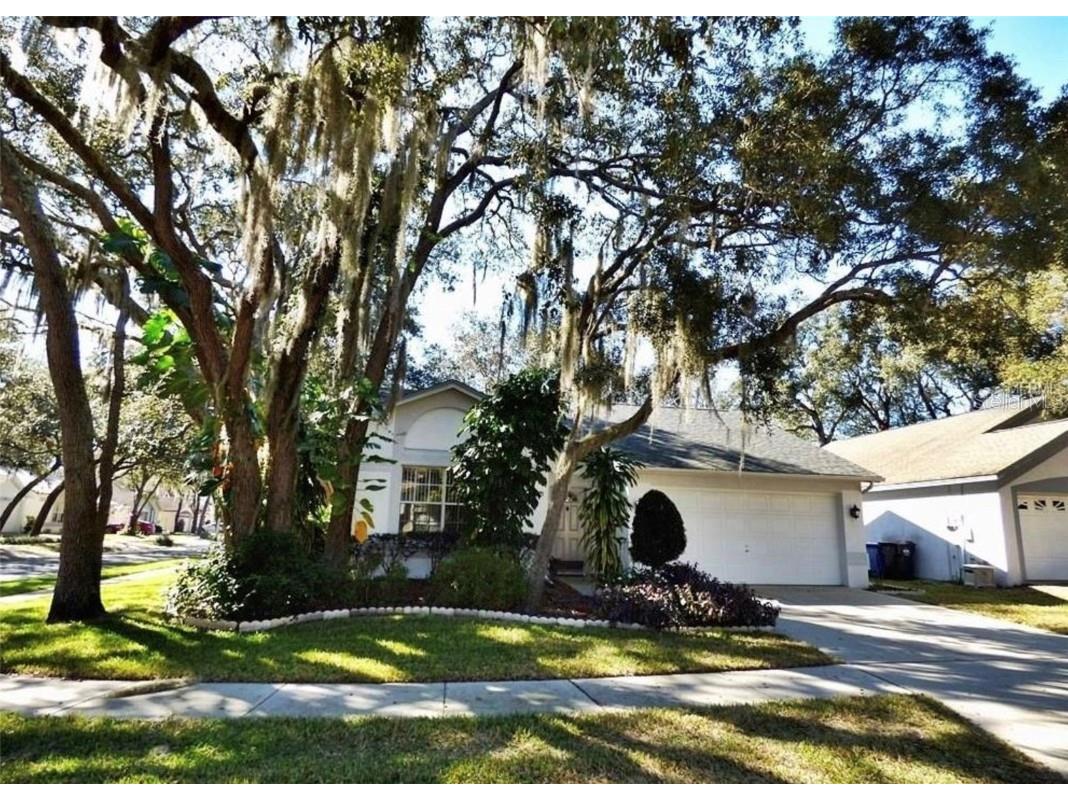 4021 Levonshire Place Valrico FL 33596 S5102165 image1