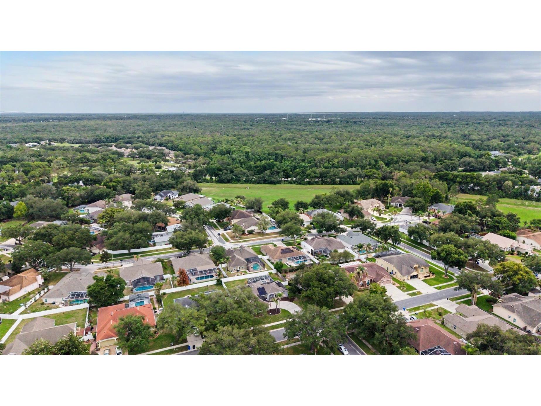 4021 Lithia Ridge Boulevard Valrico FL 33596 TB8514869 image40
