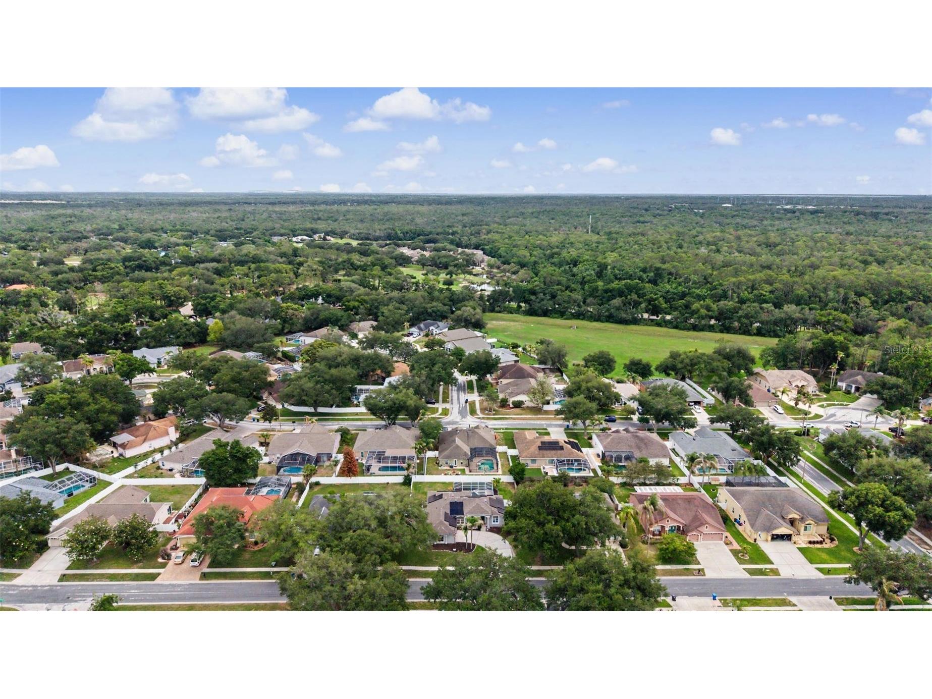4021 Lithia Ridge Boulevard Valrico FL 33596 TB8514869 image41