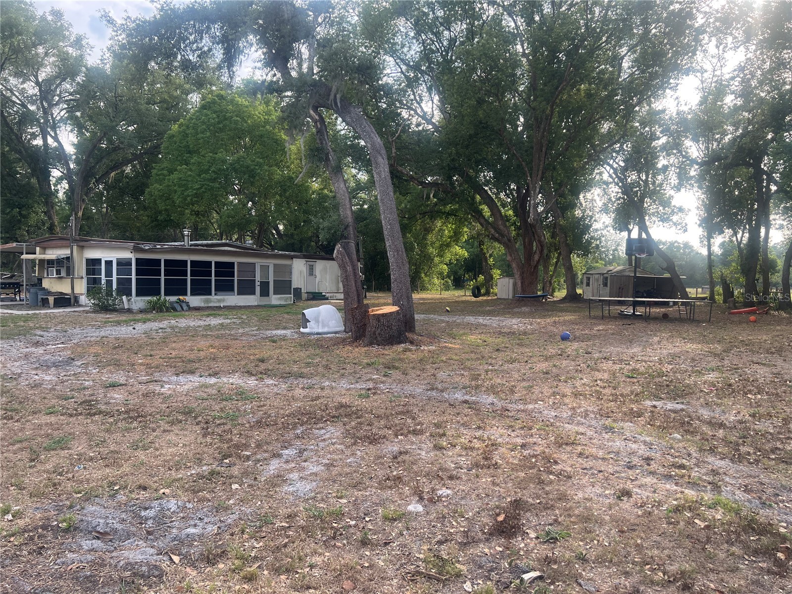 4021 Lowell Lane Zephyrhills FL 33541 TB8507593 image23