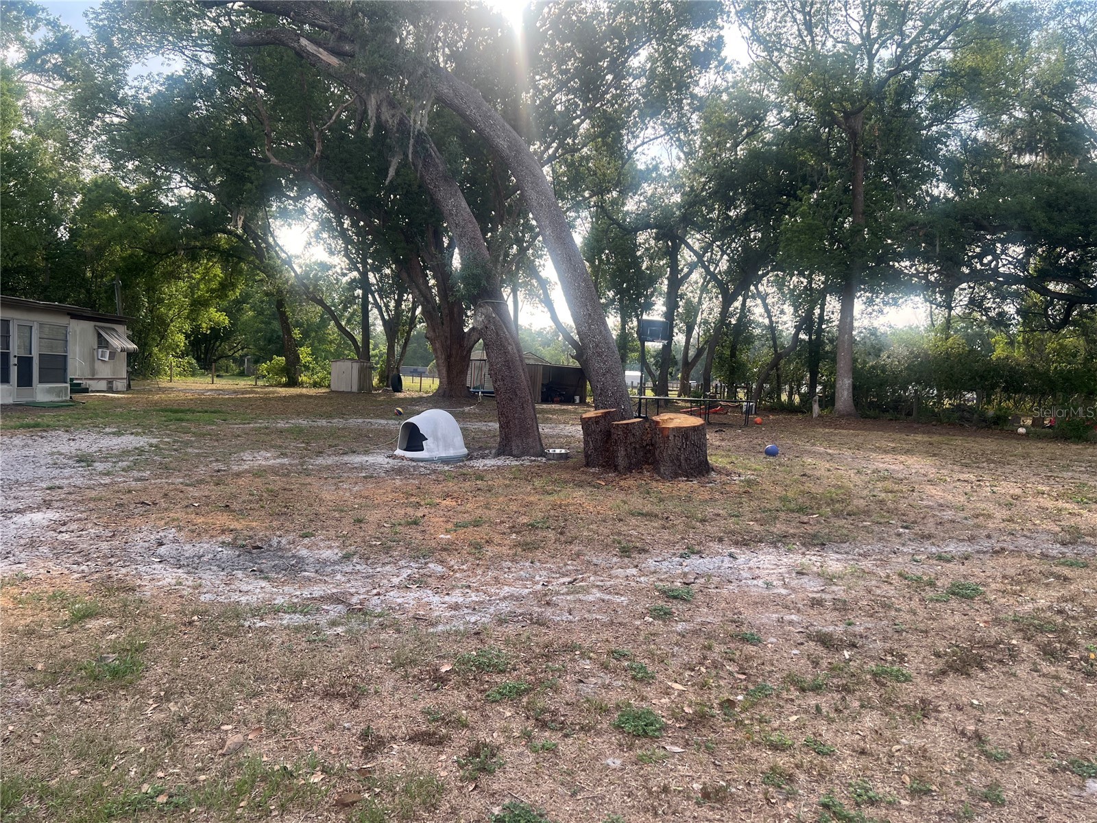 4021 Lowell Lane Zephyrhills FL 33541 TB8507593 image24
