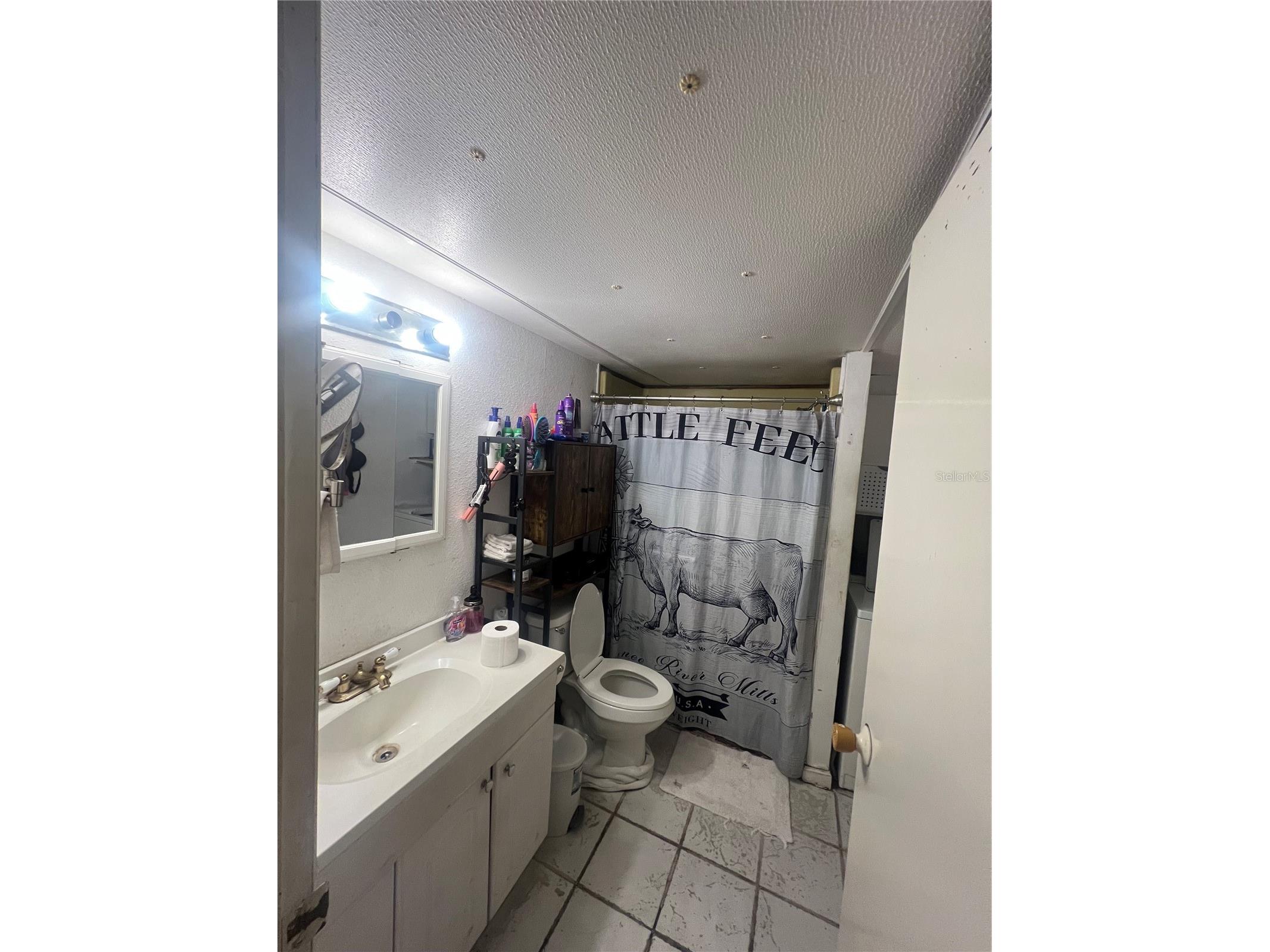 4021 Lowell Lane Zephyrhills FL 33541 TB8507593 image4