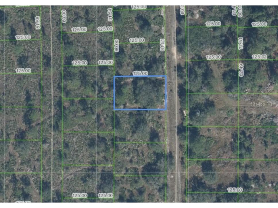 4021 Palermo Avenue Sebring FL 33872 D6147377 image2