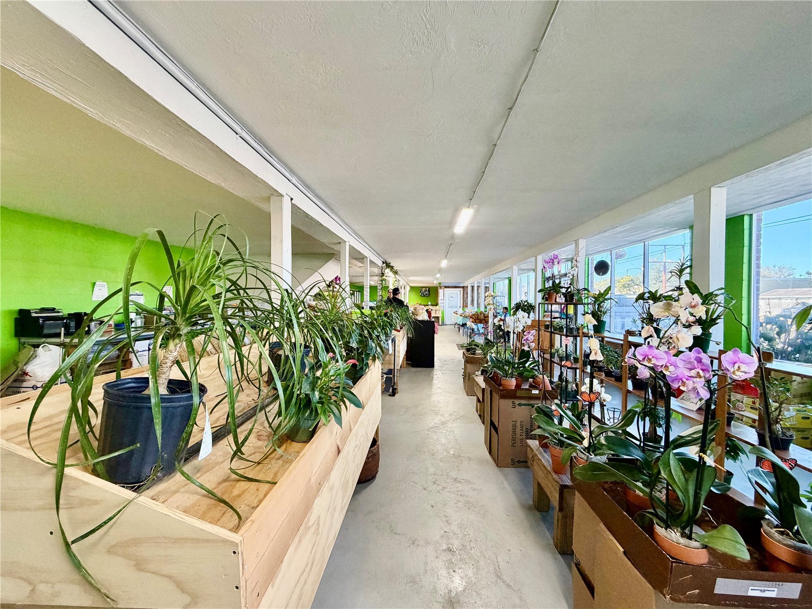4022 54th Avenue N Saint Petersburg FL 33714 TB8472389 image10