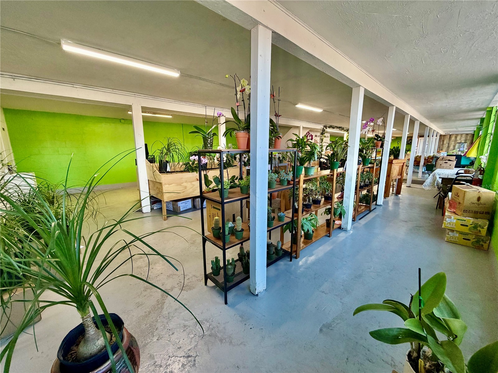 4022 54th Avenue N Saint Petersburg FL 33714 TB8472389 image8