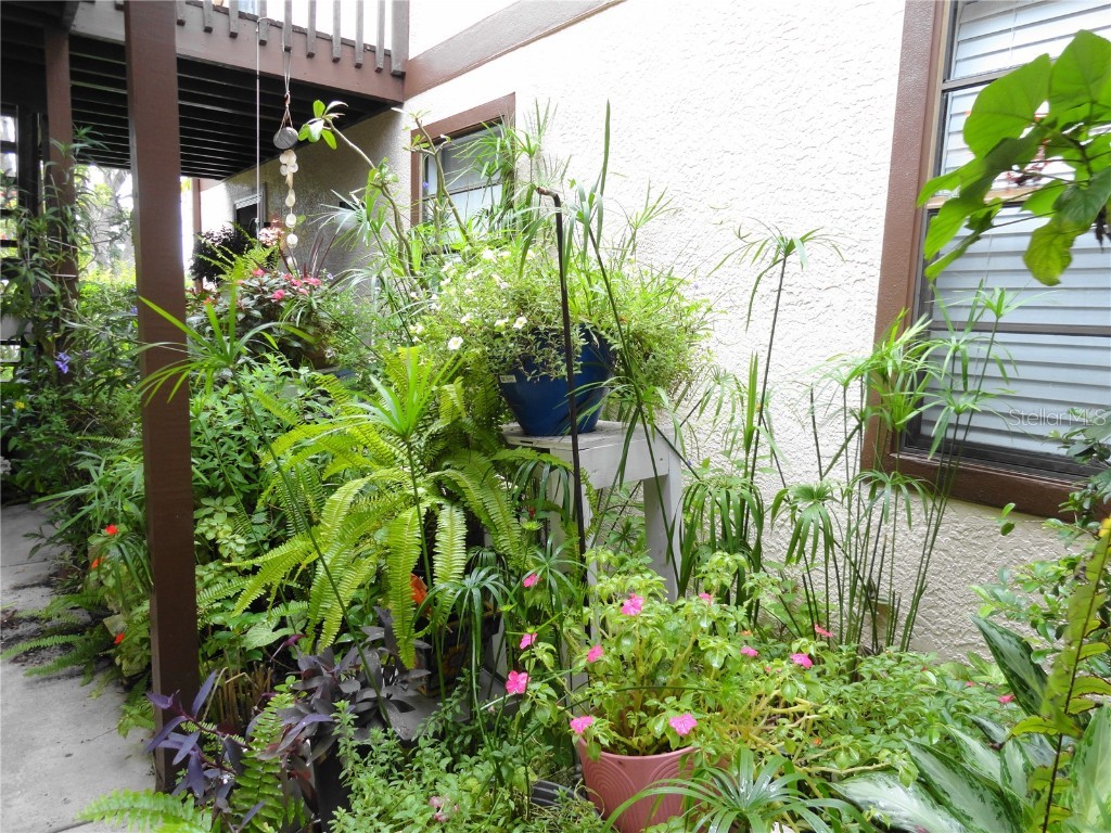 4022 Beaver Lane #700B Port Charlotte FL 33952 C7511983 image10