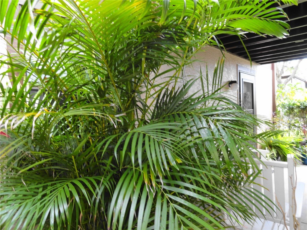 4022 Beaver Lane #700B Port Charlotte FL 33952 C7511983 image13