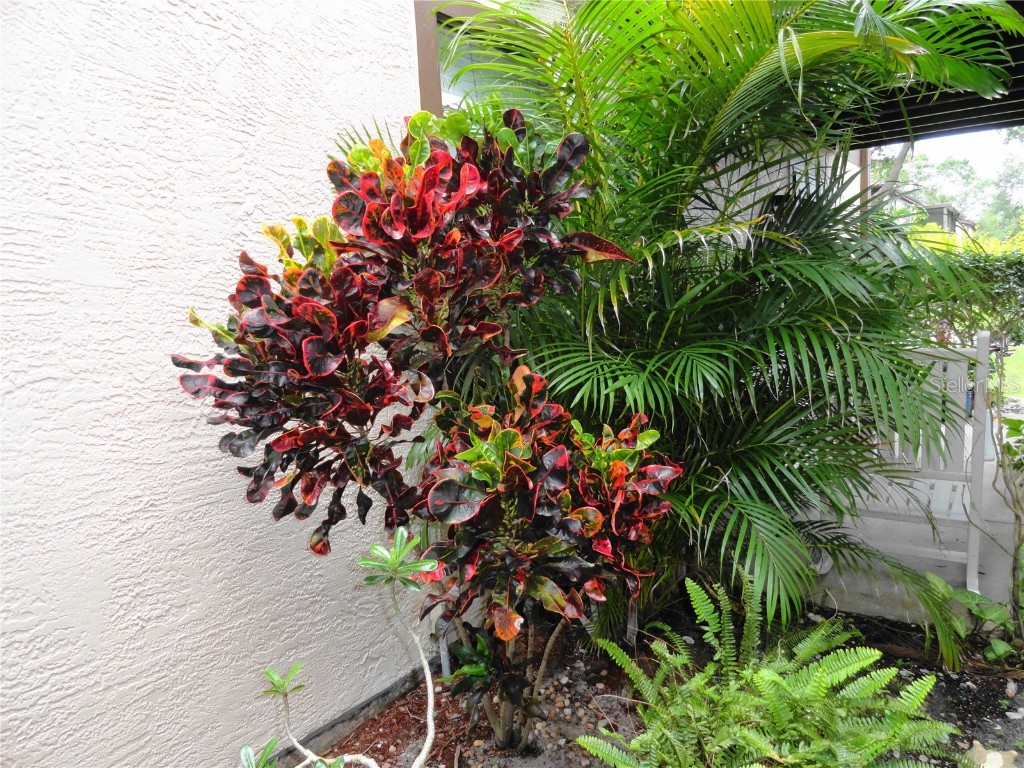 4022 Beaver Lane #700B Port Charlotte FL 33952 C7511983 image8