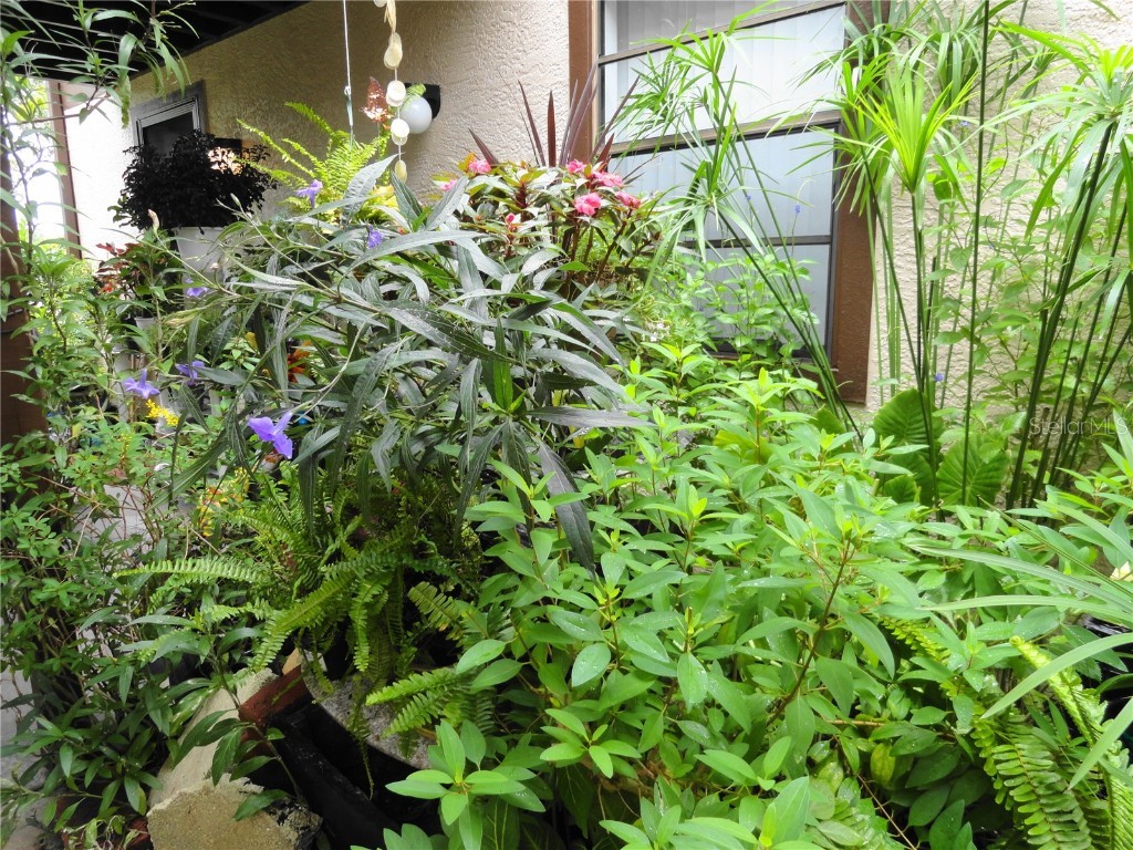 4022 Beaver Lane #700B Port Charlotte FL 33952 C7511983 image9