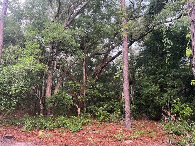 4022 S Killdeer Avenue Inverness FL 34450 OK224150 image1