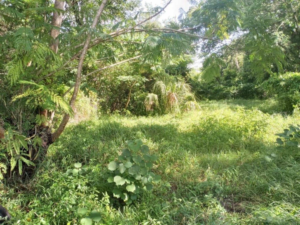 4022 Shellman Street Orlando FL 32811 O6127683 image16