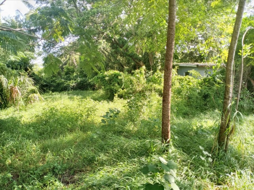 4022 Shellman Street Orlando FL 32811 O6127683 image17