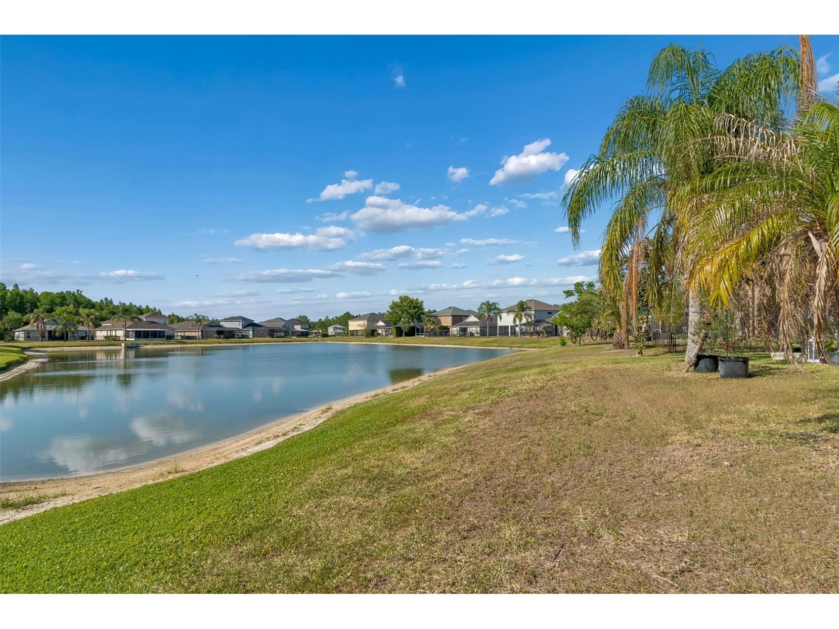 4022 Waterville Ave Wesley Chapel FL 33543 TB8503771 image36