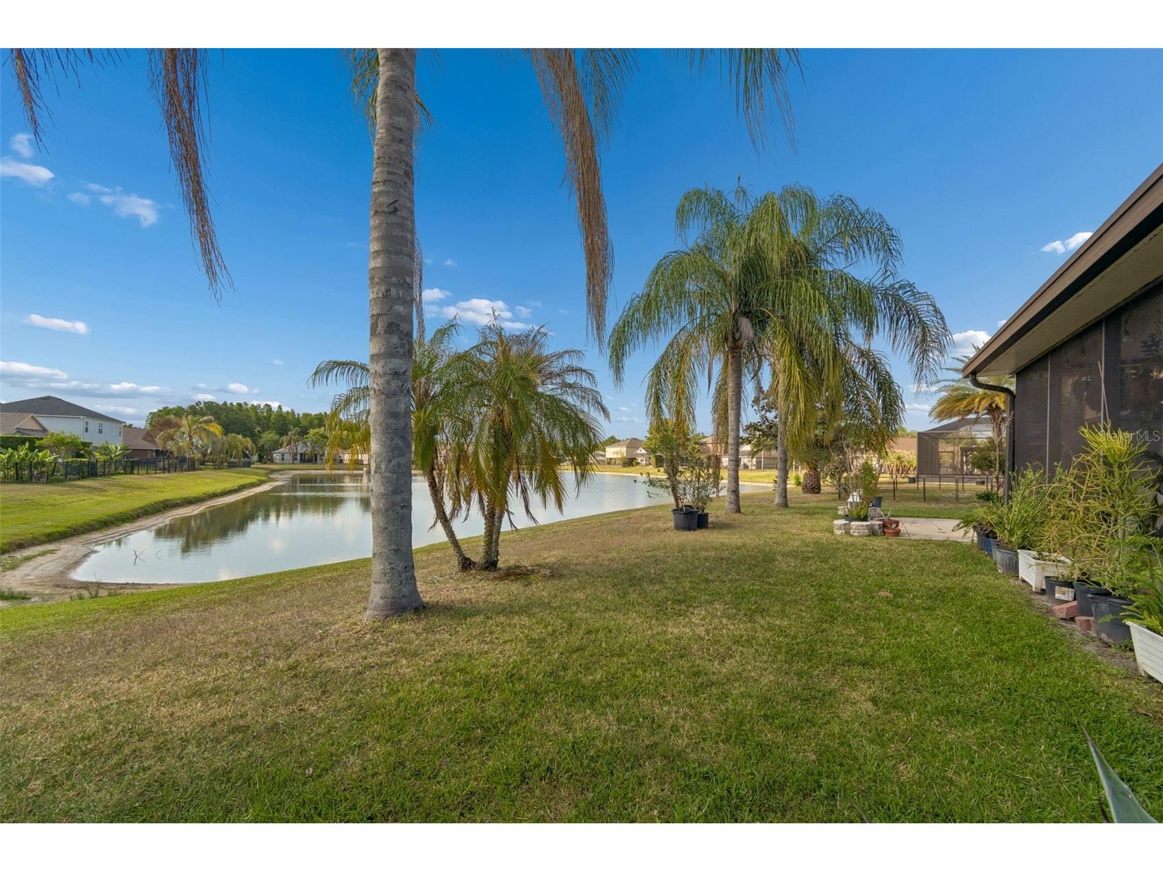 4022 Waterville Ave Wesley Chapel FL 33543 TB8503771 image37