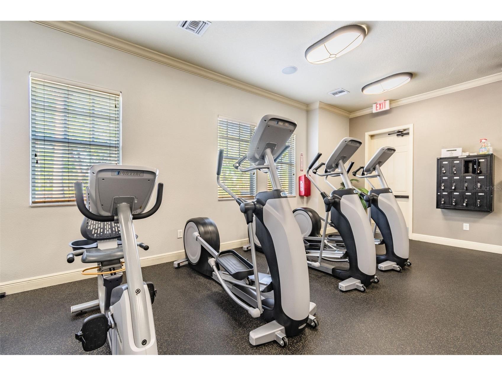 4022 Waterville Ave Wesley Chapel FL 33543 TB8503771 image49