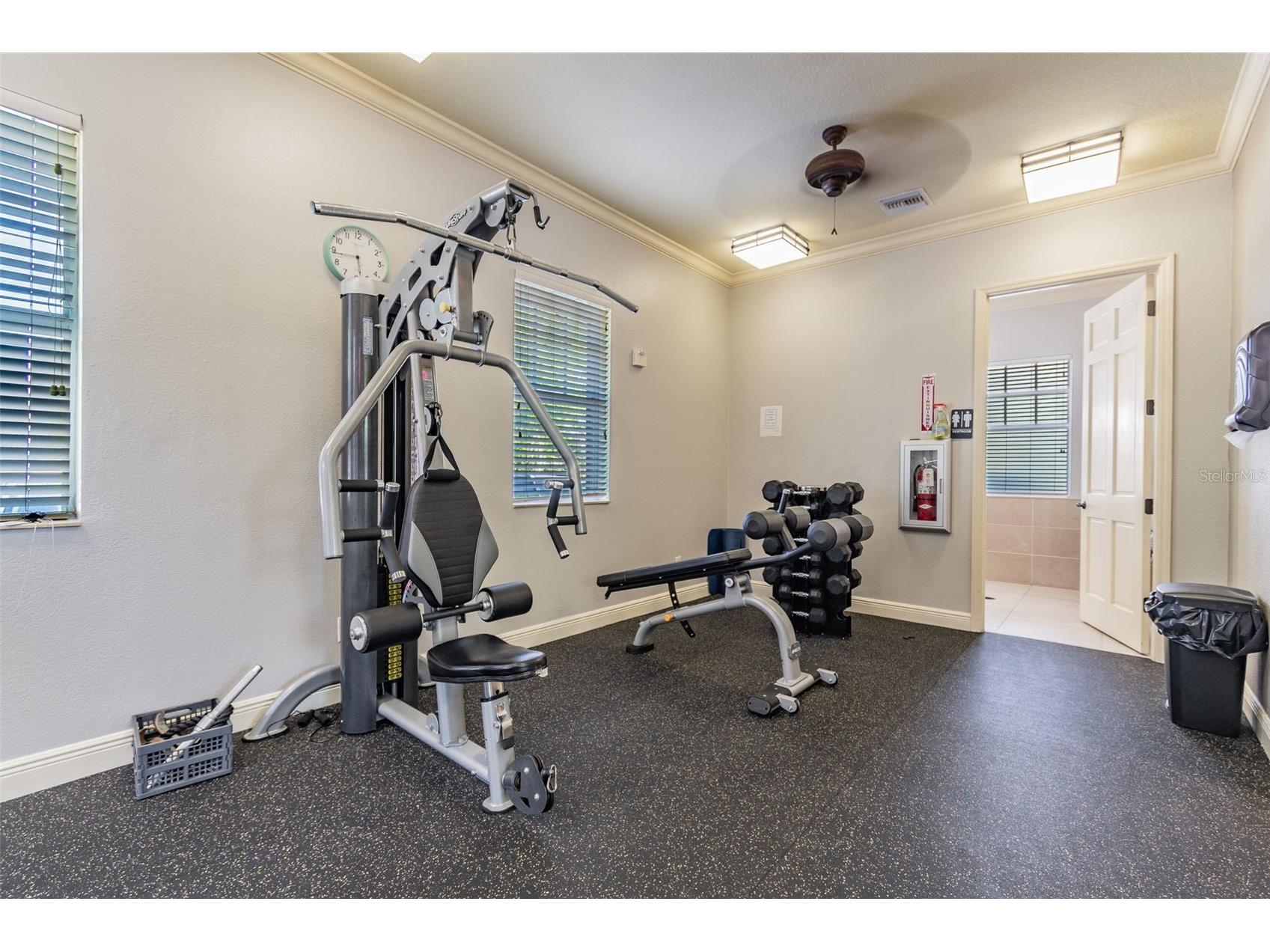 4022 Waterville Ave Wesley Chapel FL 33543 TB8503771 image50
