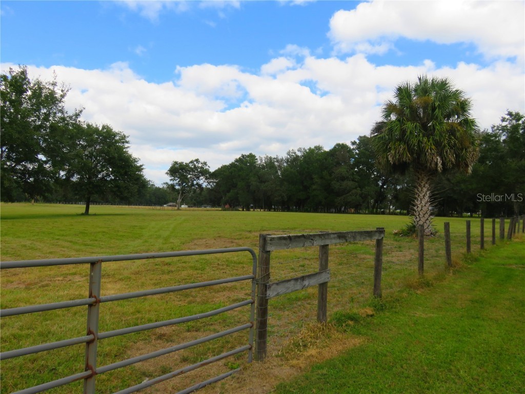 40220 Bowtie Drive Lady Lake FL 32159 OM709027 image22