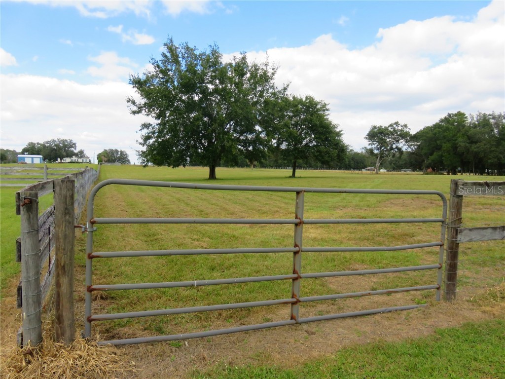 40220 Bowtie Drive Lady Lake FL 32159 OM709027 image23