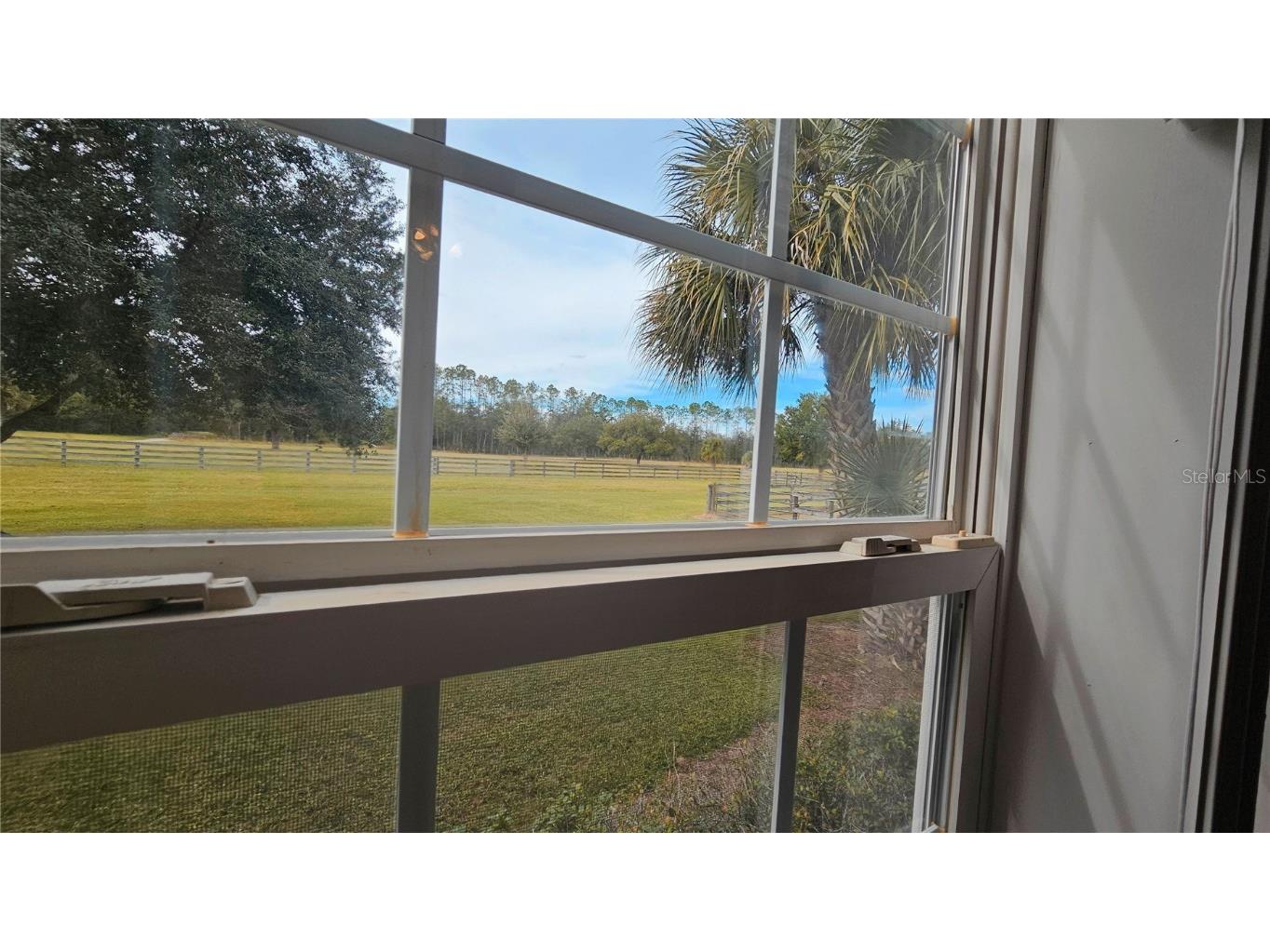 40220 Bowtie Drive Lady Lake FL 32159 OM709027 image24